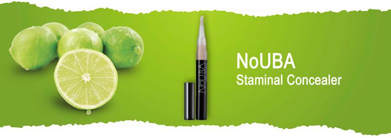 Профессиональный корректор с кисточкой Nouba Staminal Concealer