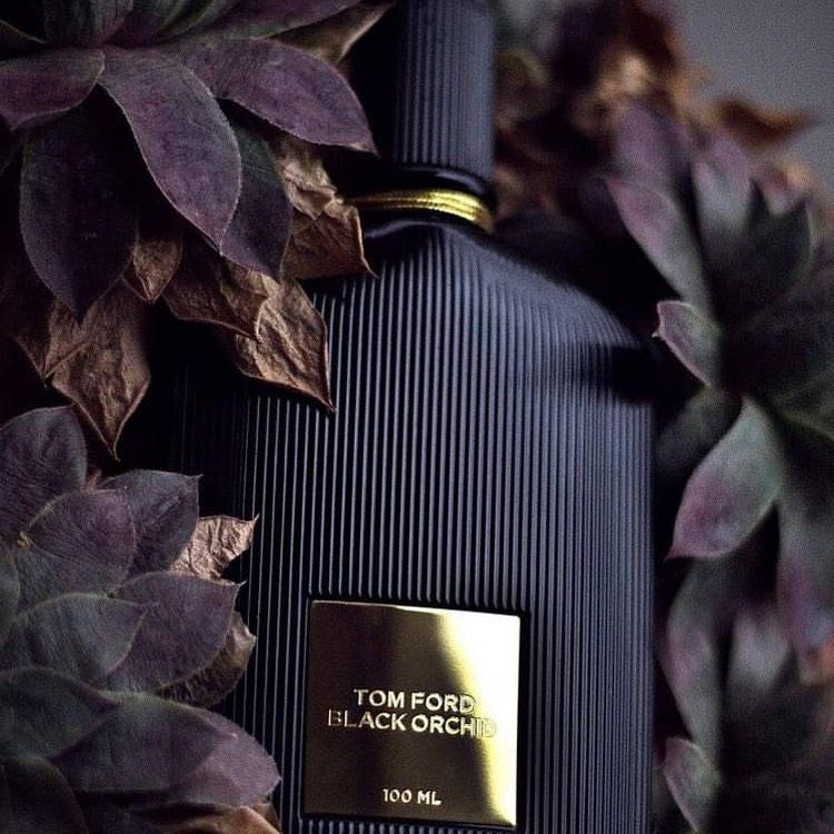 Tom Ford Black Orchid