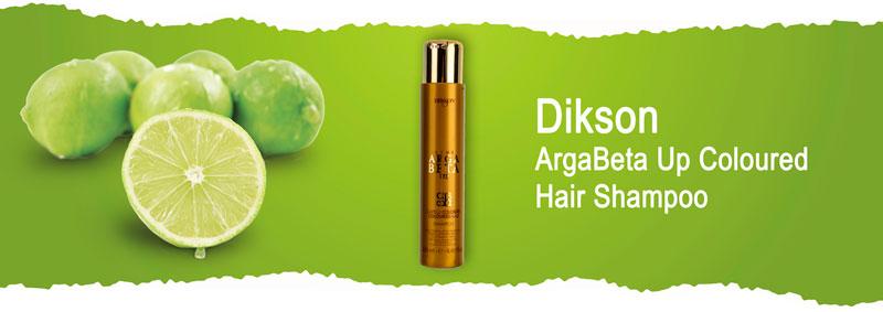 Шампунь для окрашенных и поврежденных волос Dikson ArgaBeta Up Coloured Hair Shampoo