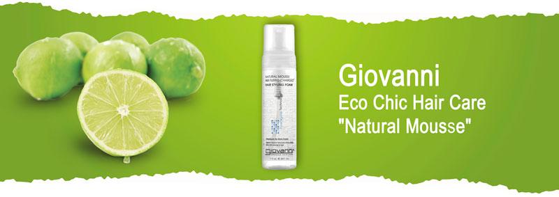 Пена для волос средней фиксации Giovanni Eco Chic Hair Care "Natural Mousse"