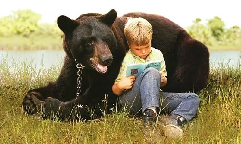 Ніжний Бен, фільм
